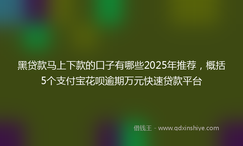 黑贷款马上下款的口子有哪些2025年推荐，概括5个支付宝花呗逾期万元快速贷款平台