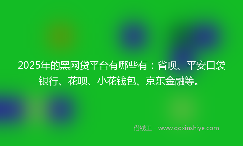 2025年的黑网贷平台有哪些有：省呗、平安口袋银行、花呗、小花钱包、京东金融等。
