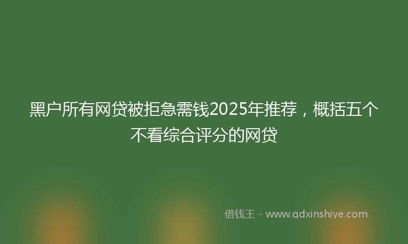 黑户所有网贷被拒急需钱2025年推荐，概括五个不看综合评分的网贷