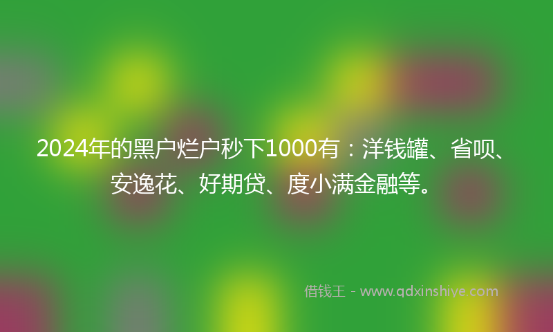 2024年的黑户烂户秒下1000有：洋钱罐、省呗、安逸花、好期贷、度小满金融等。