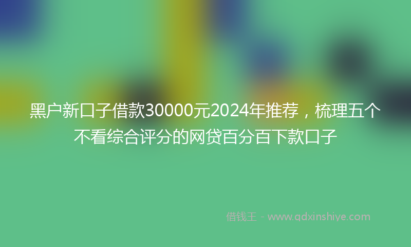 黑户新口子借款30000元2024年推荐，梳理五个不看综合评分的网贷百分百下款口子