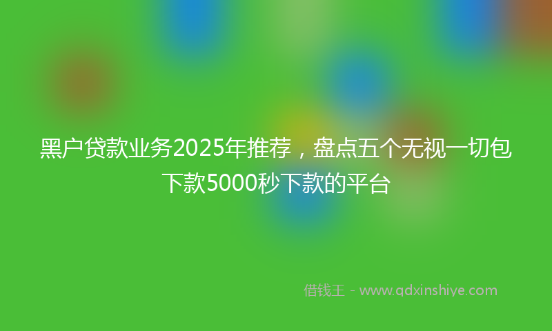 黑户贷款业务2025年推荐，盘点五个无视一切包下款5000秒下款的平台