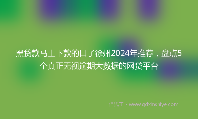 黑贷款马上下款的口子徐州2024年推荐，盘点5个真正无视逾期大数据的网贷平台