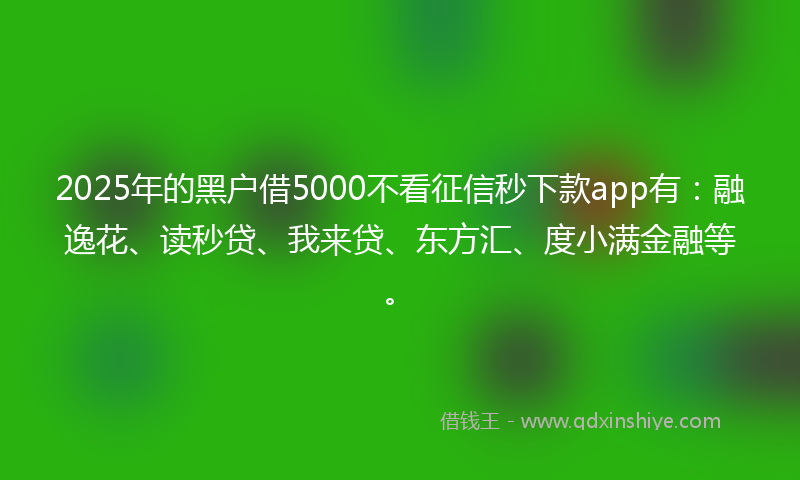 2025年的黑户借5000不看征信秒下款app有：融逸花、读秒贷、我来贷、东方汇、度小满金融等。