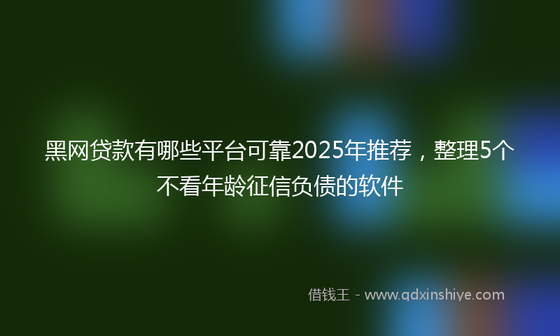 黑网贷款有哪些平台可靠2025年推荐，整理5个不看年龄征信负债的软件