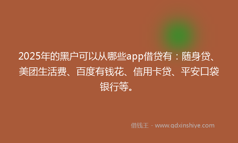 2025年的黑户可以从哪些app借贷有：随身贷、美团生活费、百度有钱花、信用卡贷、平安口袋银行等。