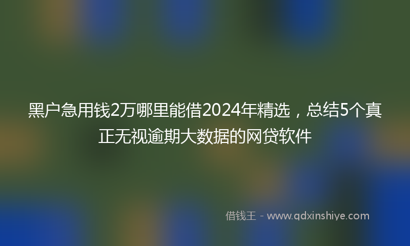 黑户急用钱2万哪里能借2024年精选，总结5个真正无视逾期大数据的网贷软件