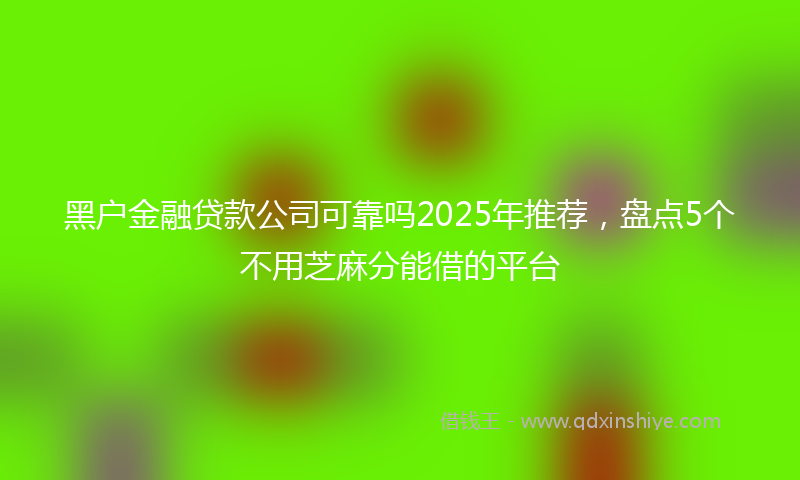 黑户金融贷款公司可靠吗2025年推荐，盘点5个不用芝麻分能借的平台