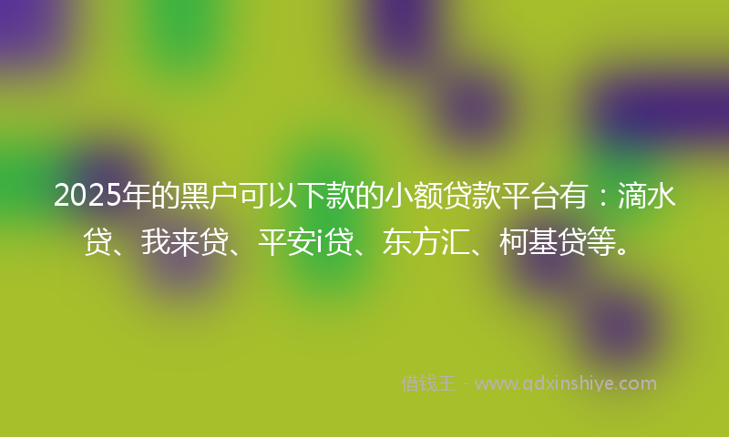 2025年的黑户可以下款的小额贷款平台有：滴水贷、我来贷、平安i贷、东方汇、柯基贷等。