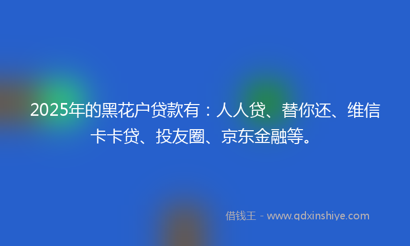 2025年的黑花户贷款有：人人贷、替你还、维信卡卡贷、投友圈、京东金融等。