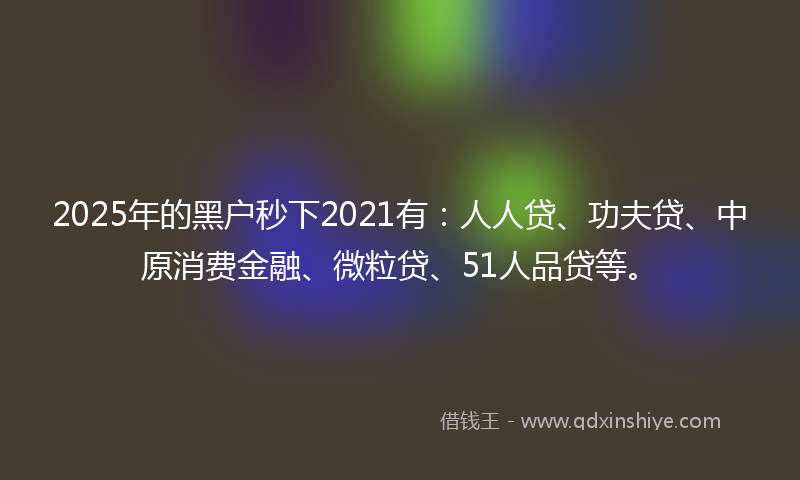 2025年的黑户秒下2021有：人人贷、功夫贷、中原消费金融、微粒贷、51人品贷等。