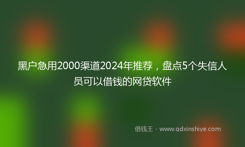 黑户急用2000渠道2024年推荐，盘点5个失信人员可以借钱的网贷软件