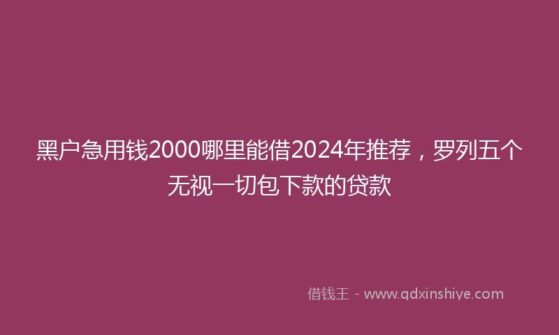 黑户急用钱2000哪里能借2024年推荐，罗列五个无视一切包下款的贷款