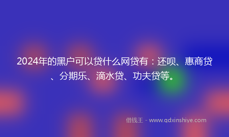 2024年的黑户可以贷什么网贷有：还呗、惠商贷、分期乐、滴水贷、功夫贷等。