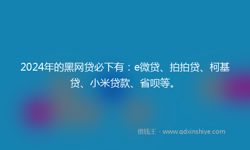 2024年的黑网贷必下有：e微贷、拍拍贷、柯基贷、小米贷款、省呗等。