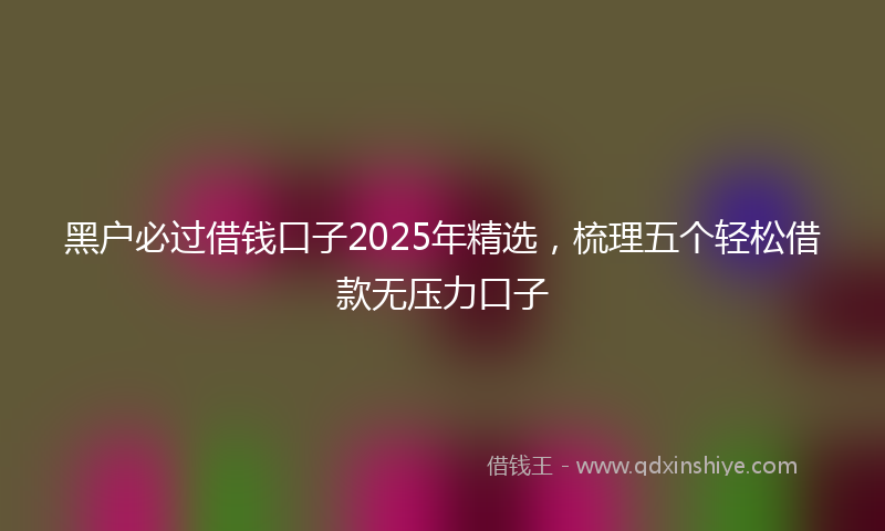 黑户必过借钱口子2025年精选，梳理五个轻松借款无压力口子