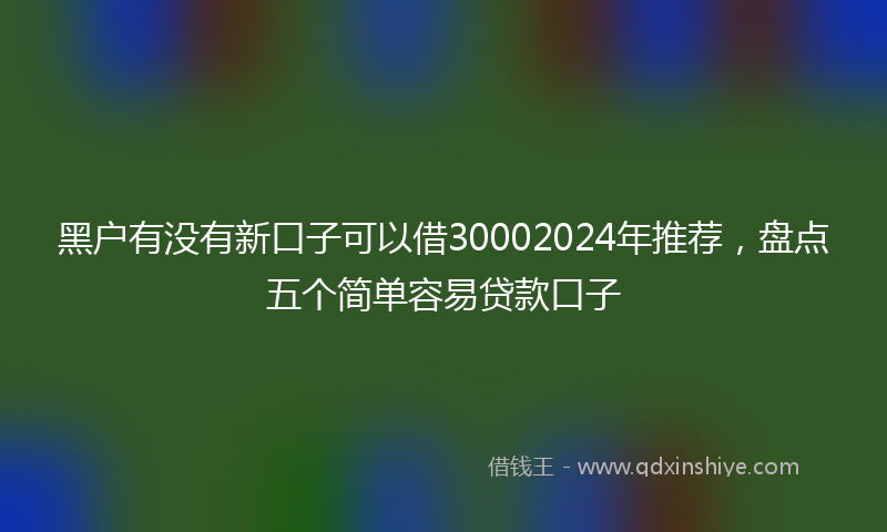 黑户有没有新口子可以借30002024年推荐，盘点五个简单容易贷款口子