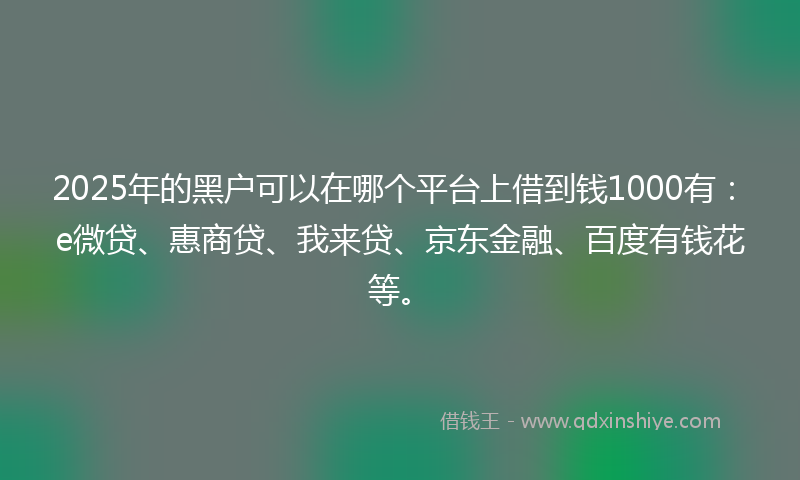 2025年的黑户可以在哪个平台上借到钱1000有：e微贷、惠商贷、我来贷、京东金融、百度有钱花等。