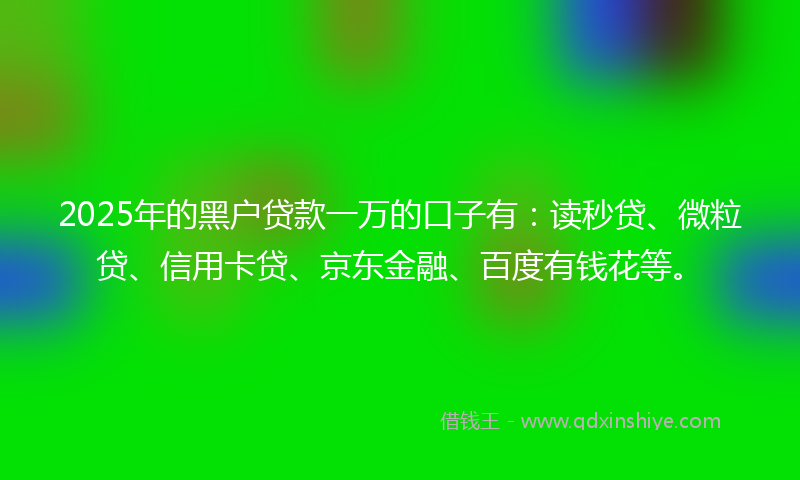 2025年的黑户贷款一万的口子有：读秒贷、微粒贷、信用卡贷、京东金融、百度有钱花等。