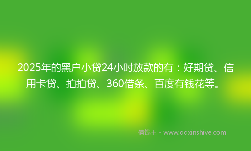 2025年的黑户小贷24小时放款的有：好期贷、信用卡贷、拍拍贷、360借条、百度有钱花等。
