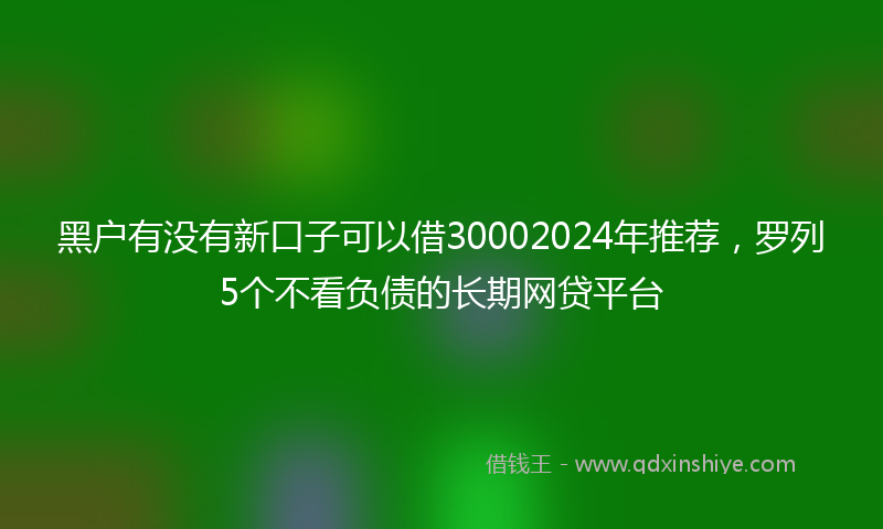 黑户有没有新口子可以借30002024年推荐，罗列5个不看负债的长期网贷平台