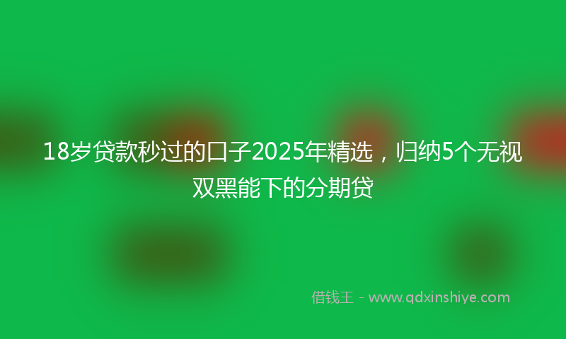 18岁贷款秒过的口子2025年精选，归纳5个无视双黑能下的分期贷