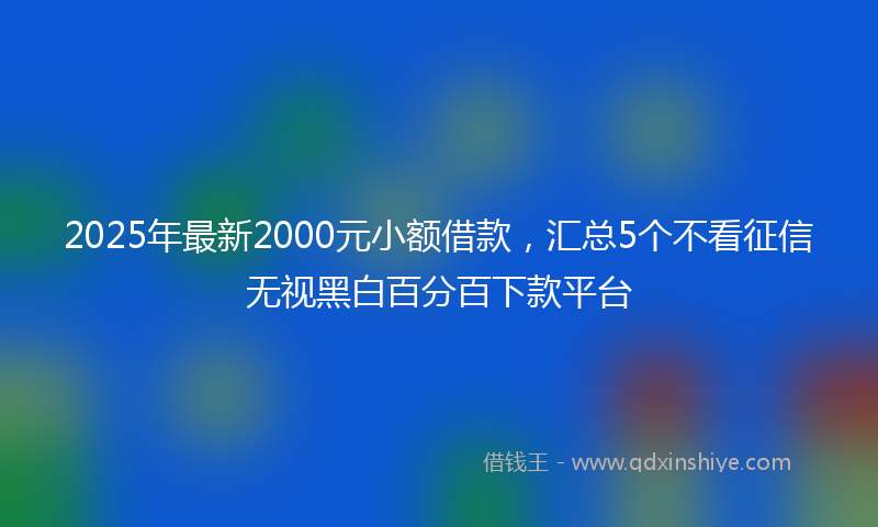 2025年最新2000元小额借款，汇总5个不看征信无视黑白百分百下款平台