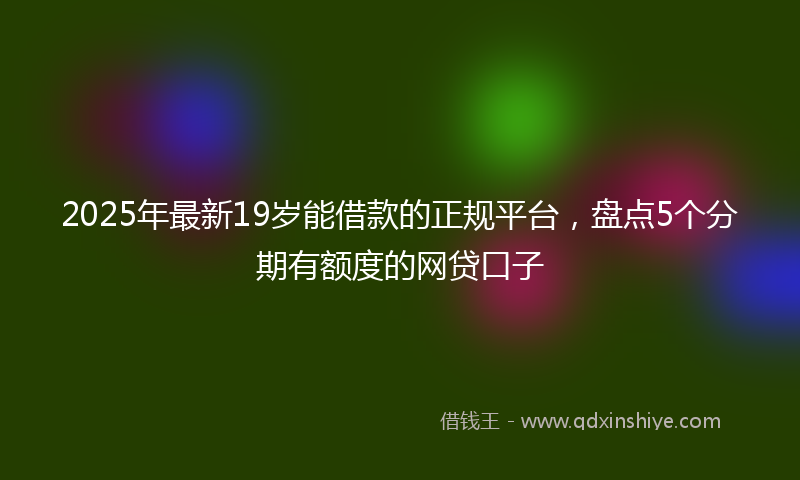 2025年最新19岁能借款的正规平台，盘点5个分期有额度的网贷口子