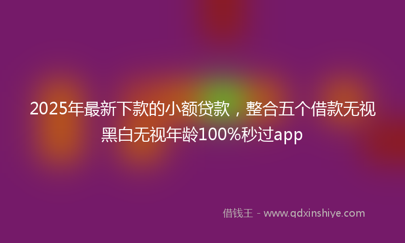 2025年最新下款的小额贷款，整合五个借款无视黑白无视年龄100%秒过app