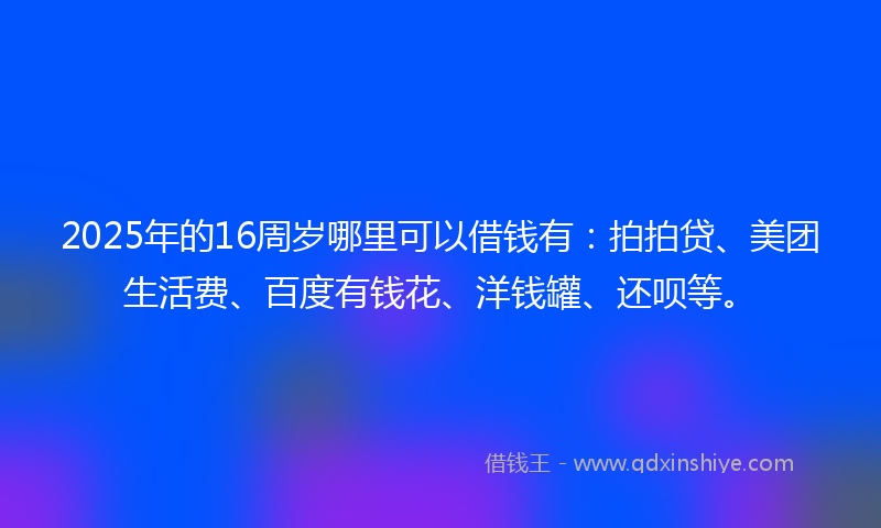 2025年的16周岁哪里可以借钱有：拍拍贷、美团生活费、百度有钱花、洋钱罐、还呗等。