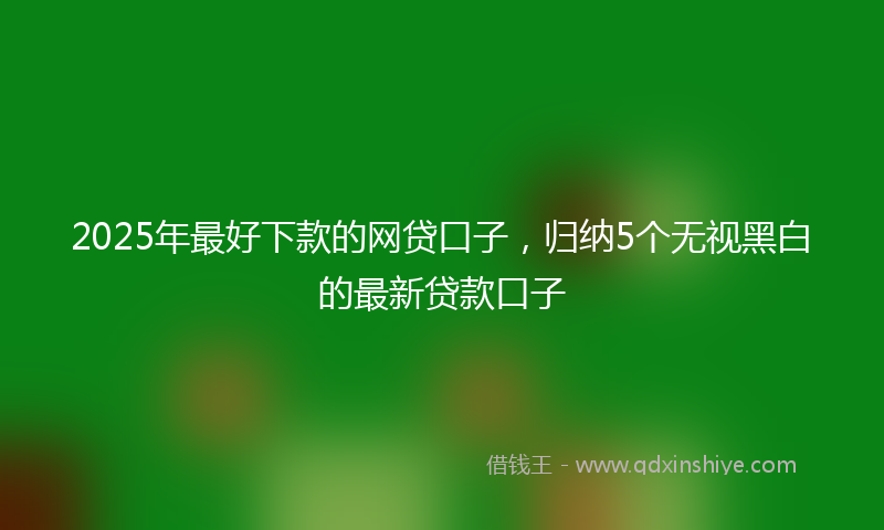 2025年最好下款的网贷口子，归纳5个无视黑白的最新贷款口子