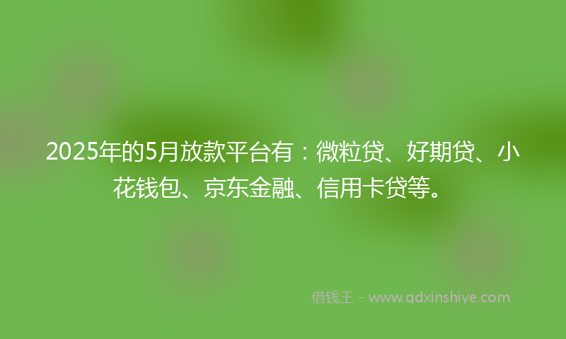 2025年的5月放款平台有：微粒贷、好期贷、小花钱包、京东金融、信用卡贷等。