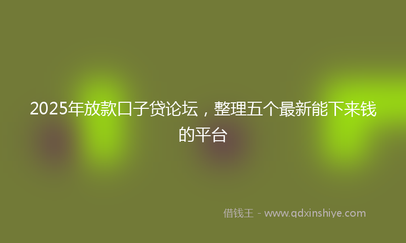 2025年放款口子贷论坛，整理五个最新能下来钱的平台