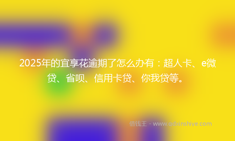 2025年的宜享花逾期了怎么办有：超人卡、e微贷、省呗、信用卡贷、你我贷等。