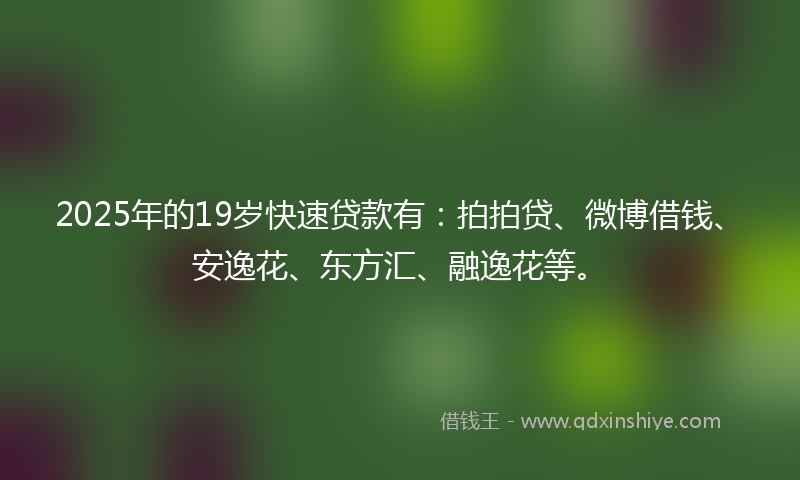2025年的19岁快速贷款有：拍拍贷、微博借钱、安逸花、东方汇、融逸花等。