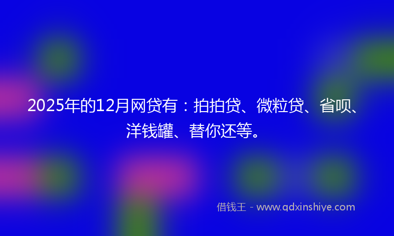 2025年的12月网贷有：拍拍贷、微粒贷、省呗、洋钱罐、替你还等。