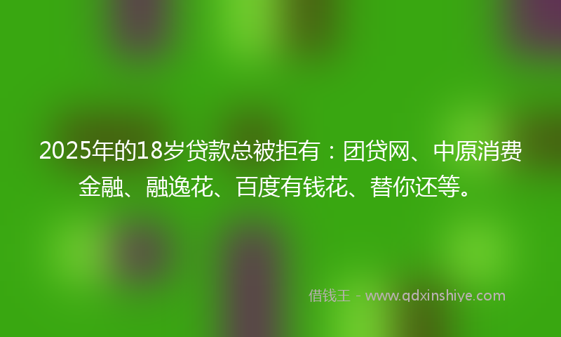 2025年的18岁贷款总被拒有：团贷网、中原消费金融、融逸花、百度有钱花、替你还等。