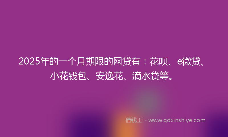 2025年的一个月期限的网贷有：花呗、e微贷、小花钱包、安逸花、滴水贷等。