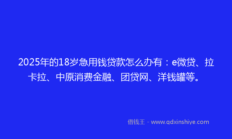 2025年的18岁急用钱贷款怎么办有：e微贷、拉卡拉、中原消费金融、团贷网、洋钱罐等。