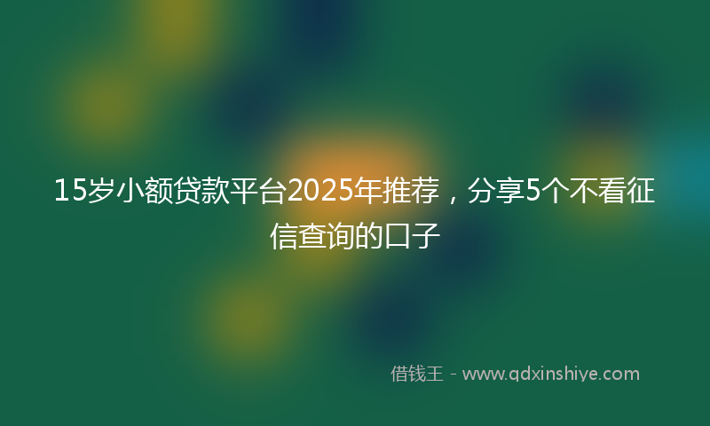 15岁小额贷款平台2025年推荐，分享5个不看征信查询的口子