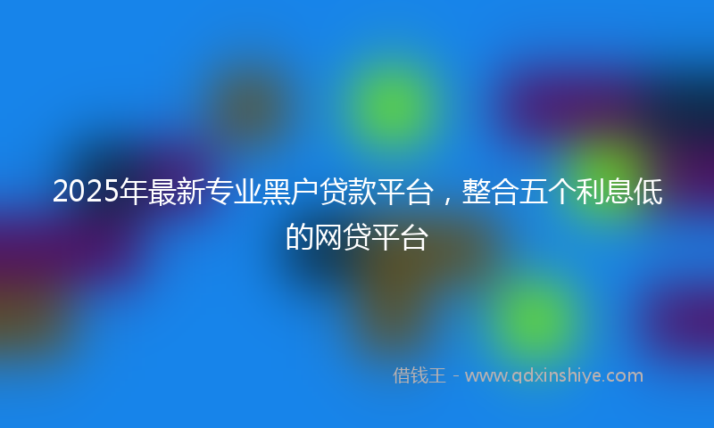 2025年最新专业黑户贷款平台，整合五个利息低的网贷平台