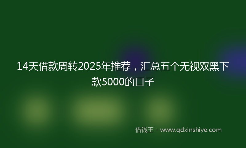 14天借款周转2025年推荐，汇总五个无视双黑下款5000的口子