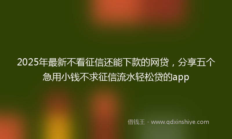 2025年最新不看征信还能下款的网贷，分享五个急用小钱不求征信流水轻松贷的app