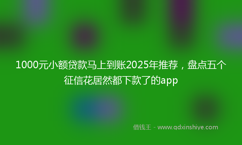 1000元小额贷款马上到账2025年推荐，盘点五个征信花居然都下款了的app