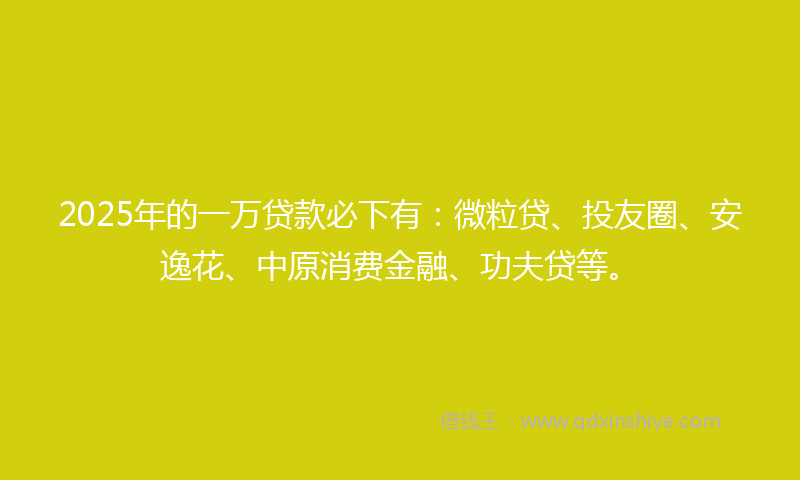 2025年的一万贷款必下有：微粒贷、投友圈、安逸花、中原消费金融、功夫贷等。