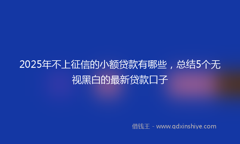 2025年不上征信的小额贷款有哪些，总结5个无视黑白的最新贷款口子