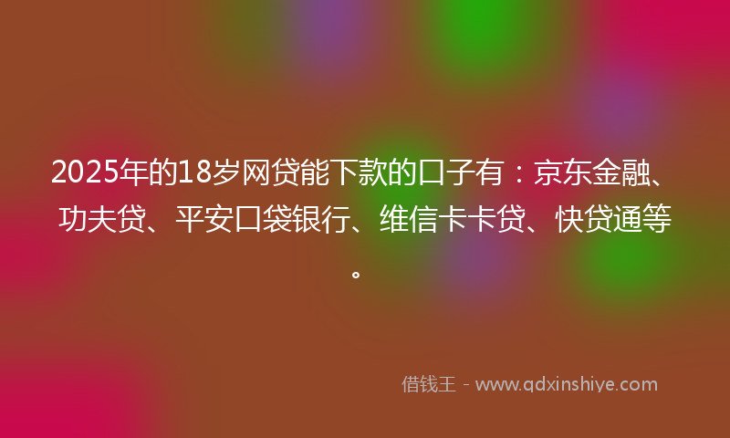 2025年的18岁网贷能下款的口子有：京东金融、功夫贷、平安口袋银行、维信卡卡贷、快贷通等。