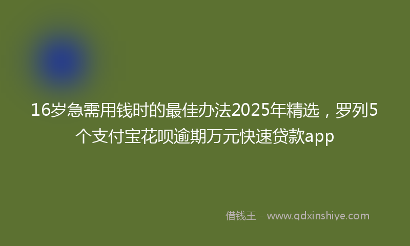 16岁急需用钱时的最佳办法2025年精选，罗列5个支付宝花呗逾期万元快速贷款app