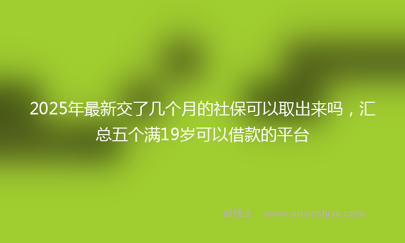 2025年最新交了几个月的社保可以取出来吗，汇总五个满19岁可以借款的平台