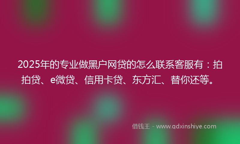 2025年的专业做黑户网贷的怎么联系客服有：拍拍贷、e微贷、信用卡贷、东方汇、替你还等。